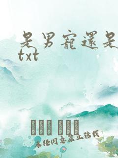 是男宠还是禁脔txt