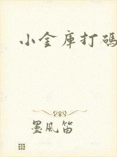 小金库打码平台