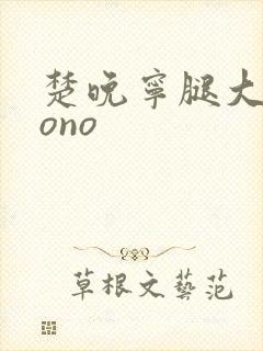 楚晚宁腿大张mono