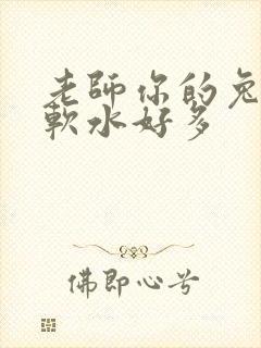 老师你的兔子好软水好多