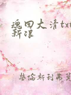 魂回大清txt新浪