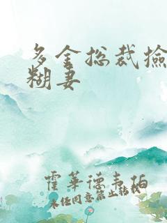 多金总裁捡到迷糊妻