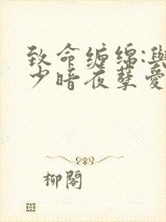 致命缠绵:与冷少暗夜孽爱