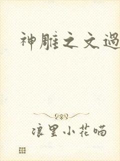 神雕之文过饰非