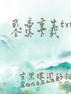 武帝重生txt全集下载