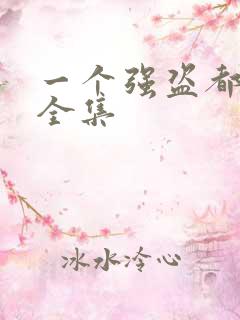 一个强盗都不留全集