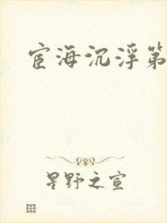 宦海沉浮第三部