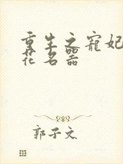 重生之宠妃白莲花名器