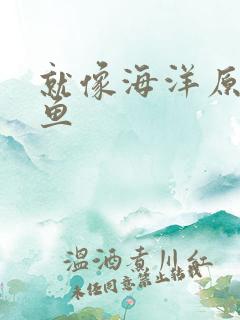 就像海洋原谅了鱼