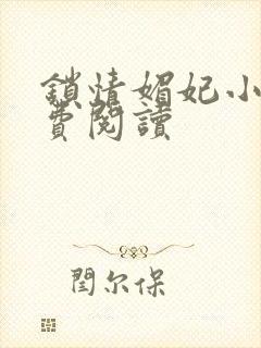 锁情媚妃小说免费阅读