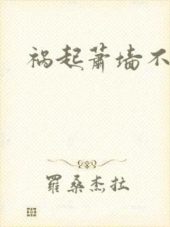 祸起萧墙不知戢