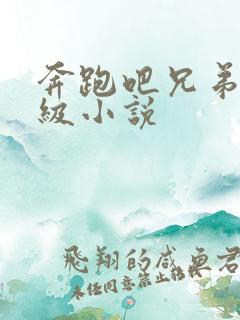 奔跑吧兄弟限制级小说