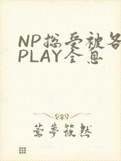 NP总受被各种PLAY全息