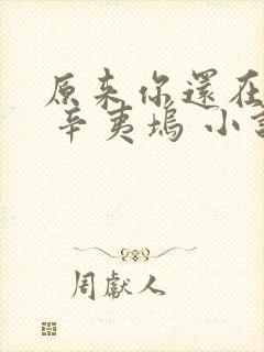 原来你还在这里 辛夷坞 小说