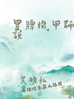 冒牌机甲师 小说