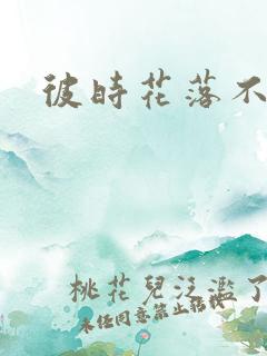 彼时花落不相逢