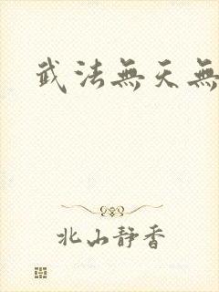 武法无天无弹窗