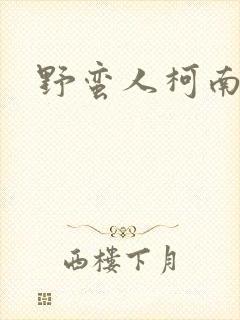 野蛮人柯南小说