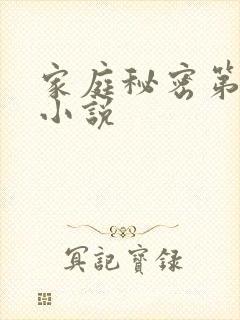 家庭秘密第3集小说