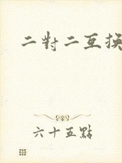 二对二互换共享