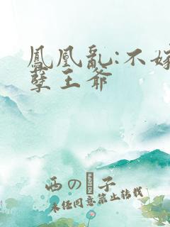 凤凰乱:不嫁妖孽王爷