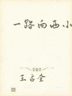 一路向西小说