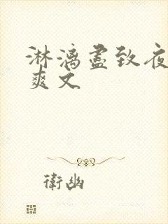 淋漓尽致夜晚小爽文