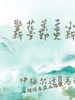 警花叶柔小说最新章节更新