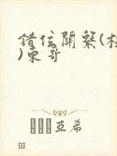 错位关系(校园)东哥