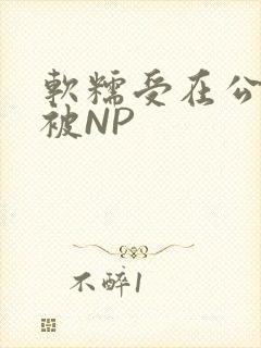 软糯受在公交车被NP