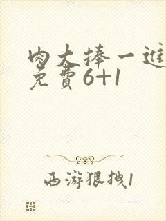 肉大捧一进一出免费6+1