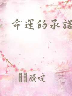 命运的承诺下载