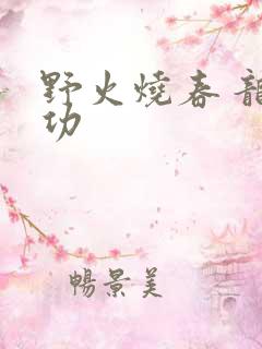 野火烧春 龙鸣功