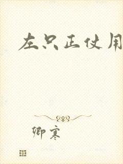 左只正仗用