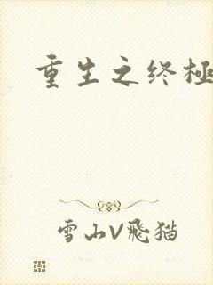 重生之终极杀手