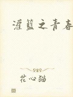 灌篮之青春无敌