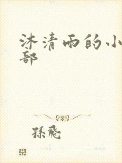 沐清雨的小说全部