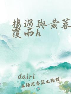 杨过与黄蓉翻云覆雨h