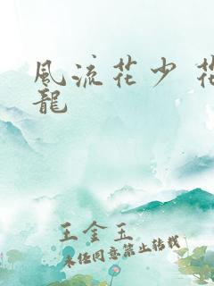 风流花少 花睿龙
