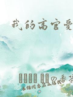 我的高官爱人