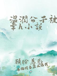 温润公子被脔日常h小说