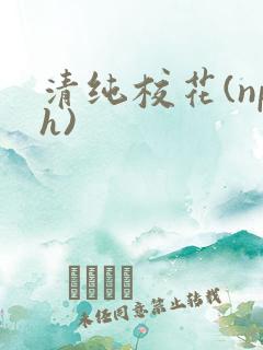 清纯校花(nph)