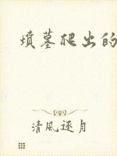 坟墓爬出的士兵