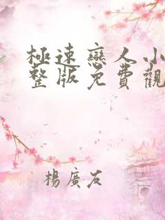 极速恋人小说完整版免费观看