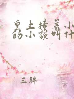 皇上撞着小公主的小说叫什么
