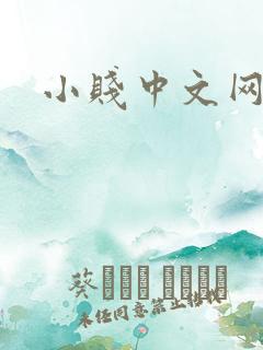 小贱中文网