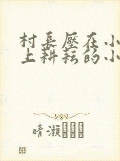 村长压在小娥身上耕耘的小说