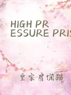 HIGH PRESSURE PRISON