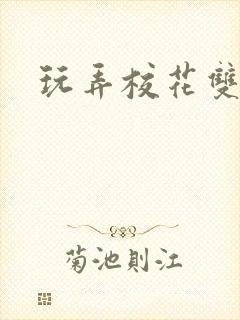 玩弄校花双胞胎