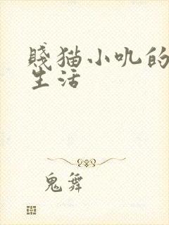 贱猫小叽的幸福生活